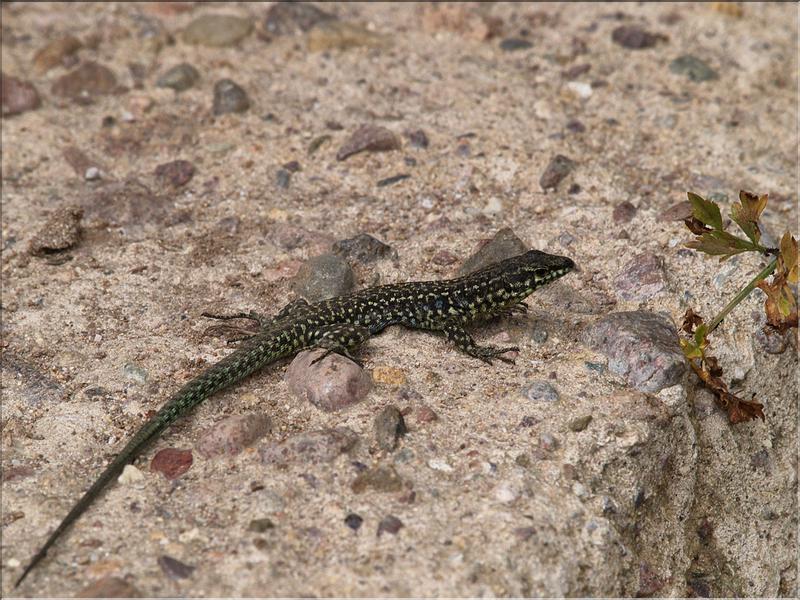 P6221101