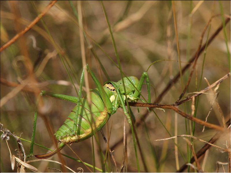 P6221044
