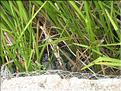 IMG_2361c
