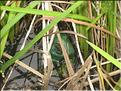 IMG_2363c