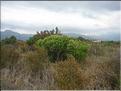 IMG_2369c