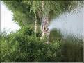 IMG_2376c