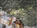 IMG_2381c