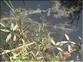 IMG_2398c