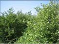 IMG_2401c