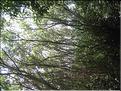 IMG_2405c