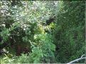 IMG_2408c
