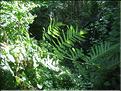 IMG_2410c