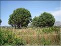 IMG_2414c