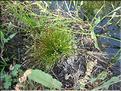 IMG_2416c