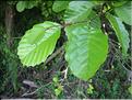 IMG_2417c