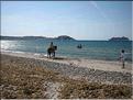 IMG_2420c