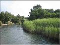 IMG_2428c