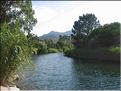 IMG_2429c