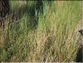 IMG_2435c