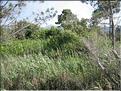 IMG_2437c