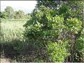 IMG_2441c