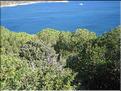 IMG_2445c