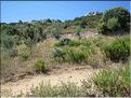 IMG_2451c