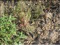IMG_2457c