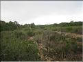 IMG_3216c