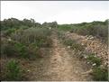 IMG_3217c