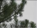 IMG_3236c