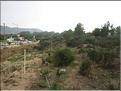 IMG_3242c