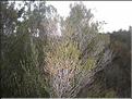 IMG_3246c