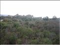IMG_3252c