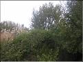 IMG_3257c