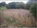 IMG_3262c