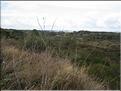 IMG_3267c