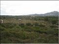 IMG_3269c