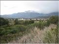 IMG_3272c