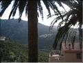 IMG_3276c