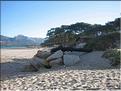 IMG_1837c