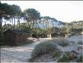 IMG_1839c