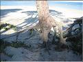 IMG_1841c