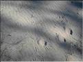 IMG_1843c
