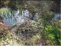 IMG_1847c