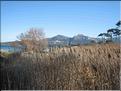 IMG_1852c