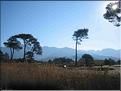 IMG_1853c