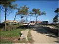IMG_1855c
