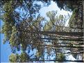 IMG_1856c