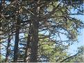 IMG_1857c