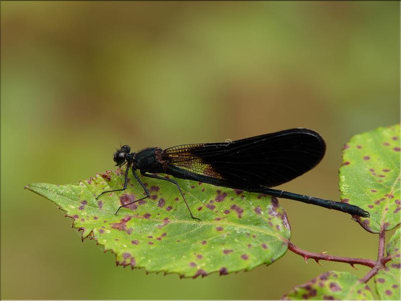 P6221070