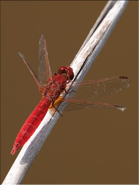 P6221117